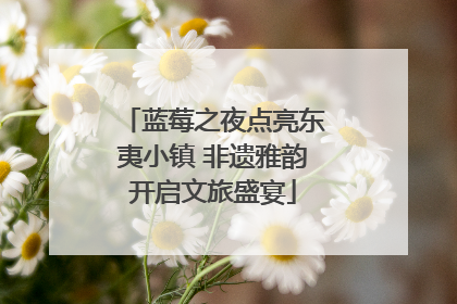蓝莓之夜点亮东夷小镇 非遗雅韵开启文旅盛宴
